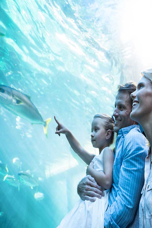 Image of Sea World
